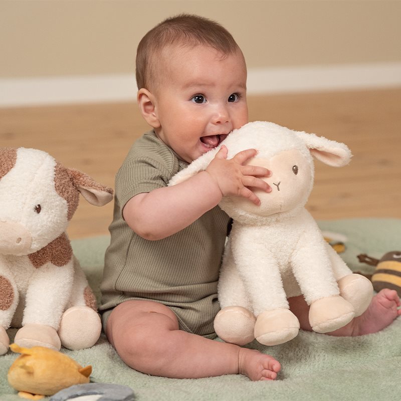 Cuddle Sheep 25cm Little Dutch