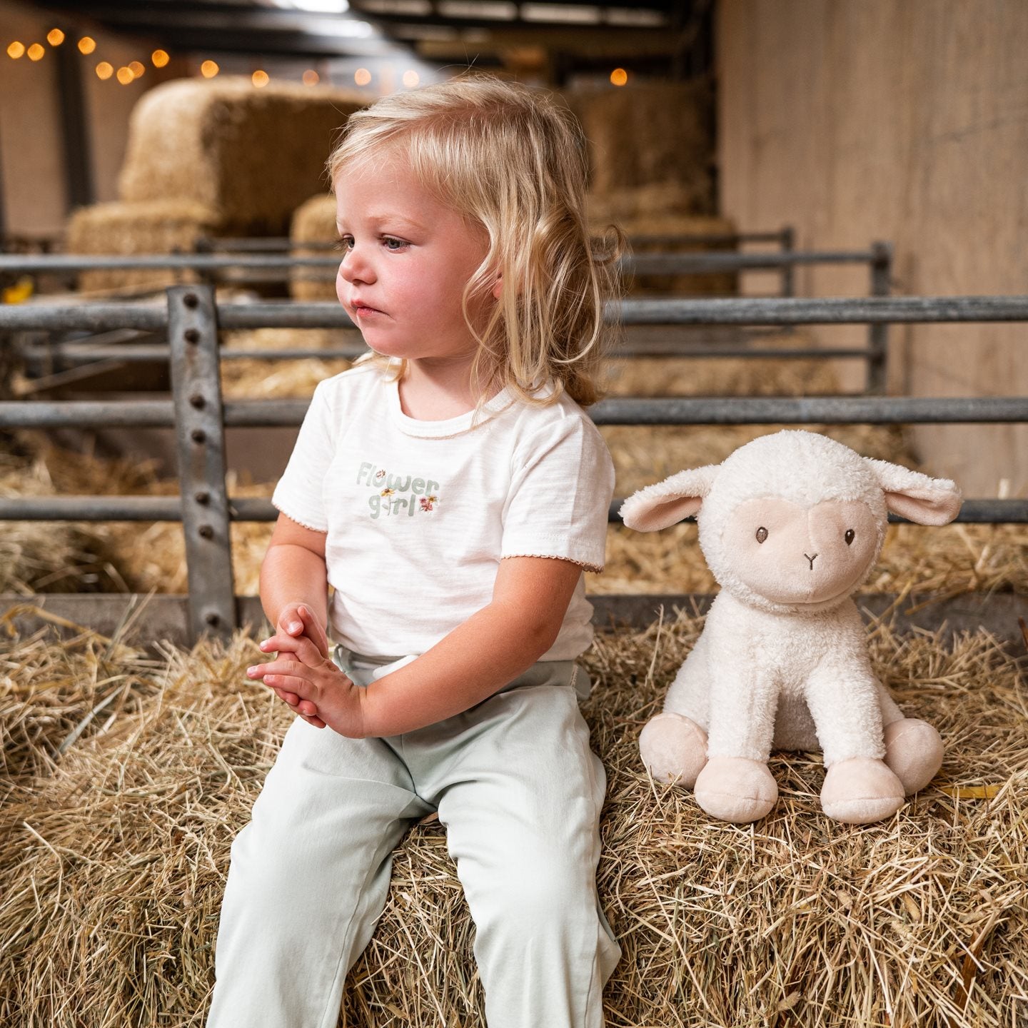 Cuddle Sheep 25cm Little Dutch