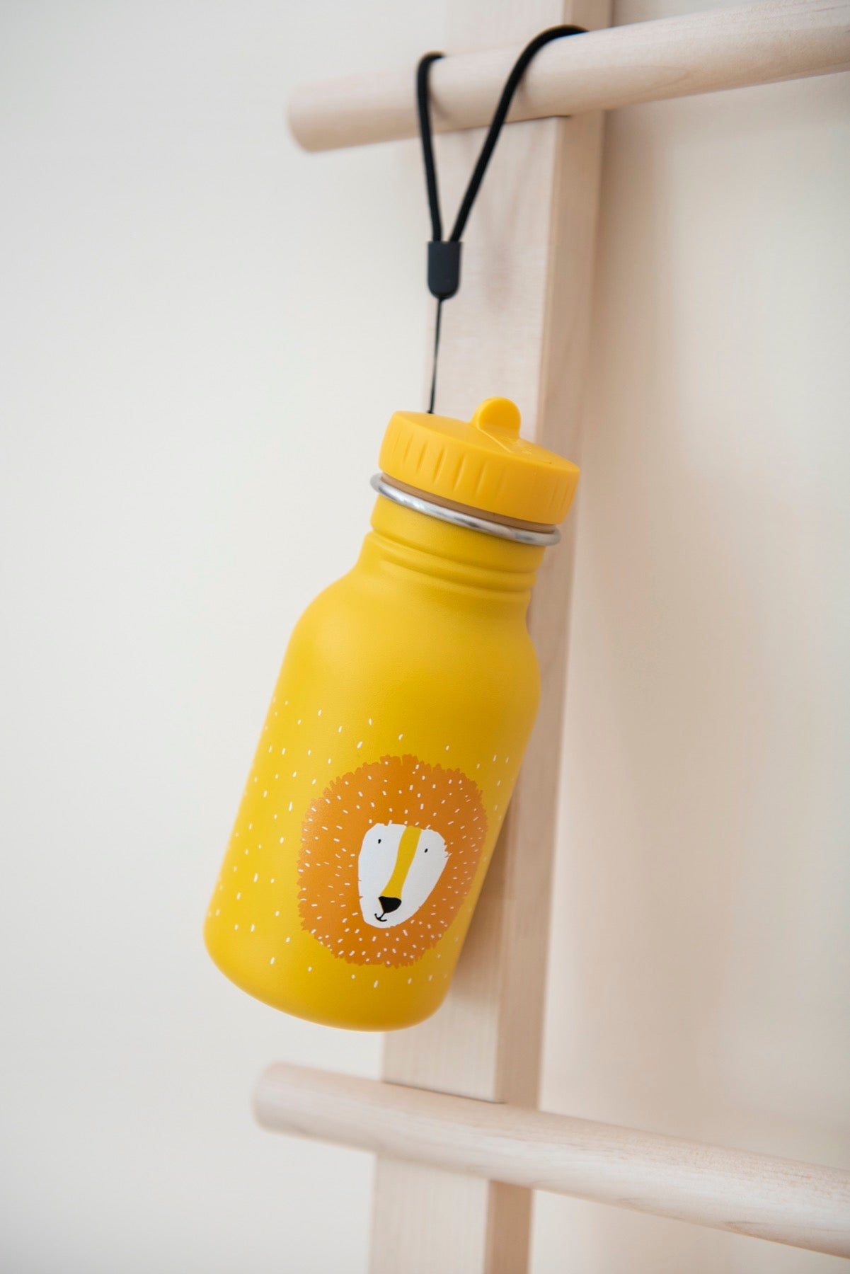 Garrafa Mr Lion - 350 ml - Trixie